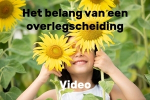 Belang van mediation