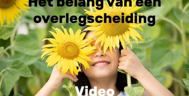 Belang van mediation